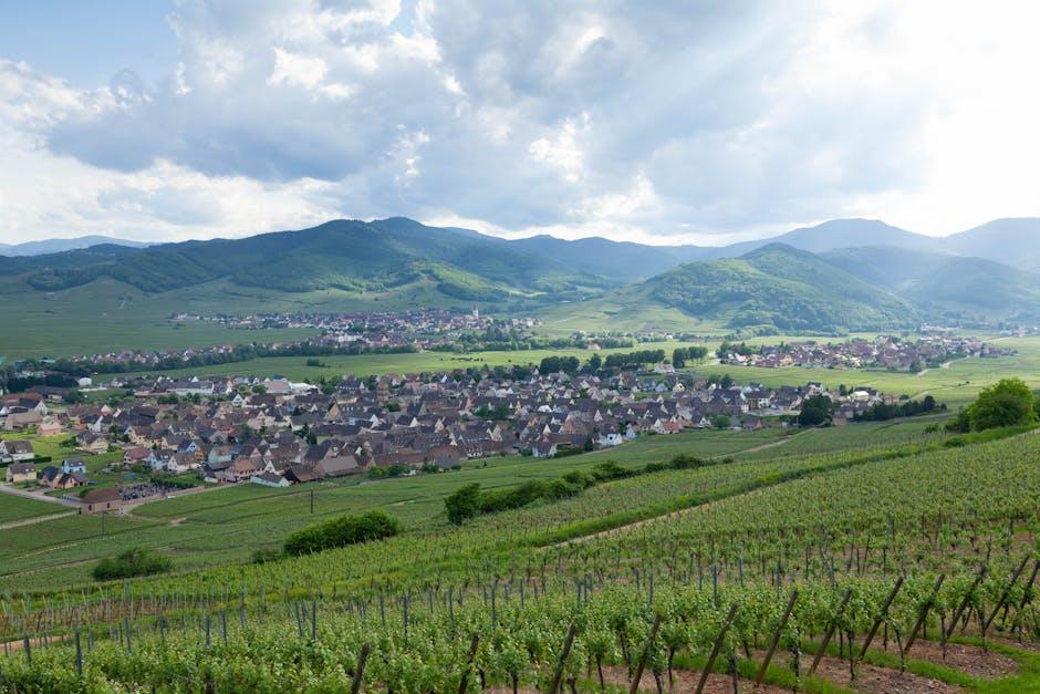 区域特点与移民条件深度对比