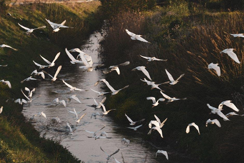 当前移民流动的主要模式与关键数据分析