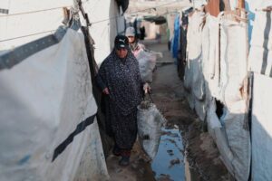 移民攻略入门：快速理解背景、关键点与现实意义