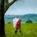 “移民不移居”：解析当代人口流动的新趋势与挑战