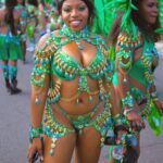 圣基茨国籍申请指南：条件、流程与政策解读