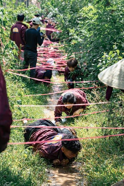 生活融合中的文化挑战与机遇