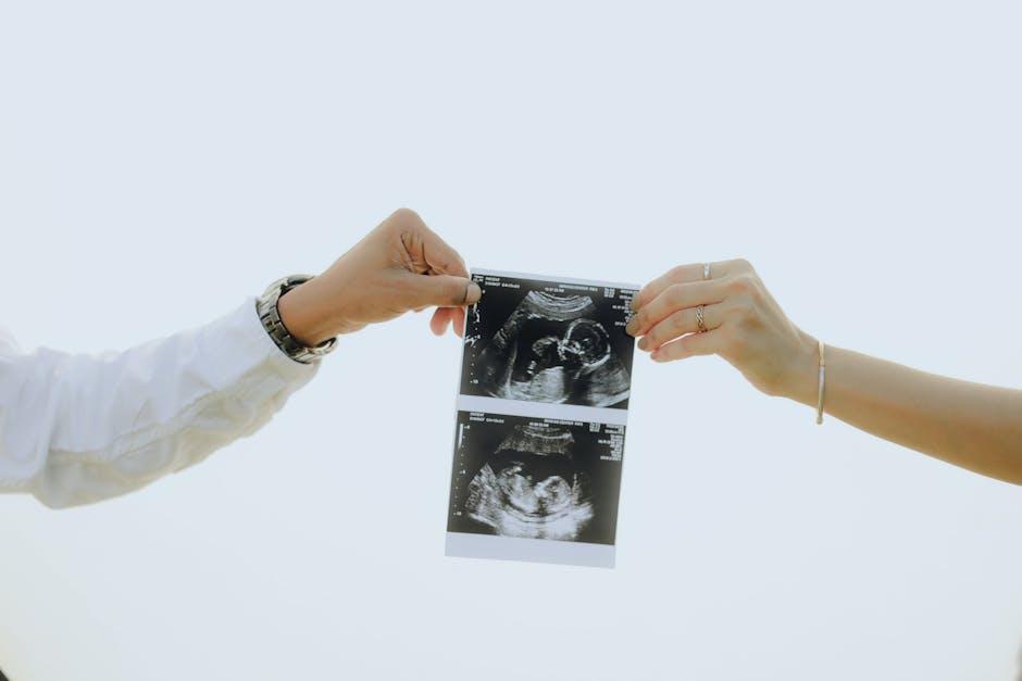 规划未来生活的实用指南与法律解读