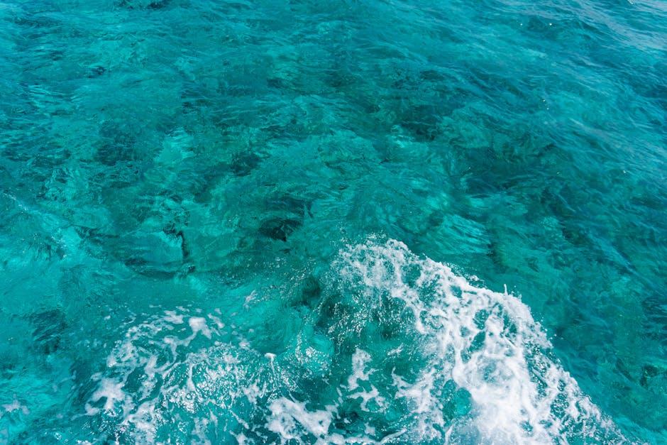 深入解析加勒比海的财富增长潜力