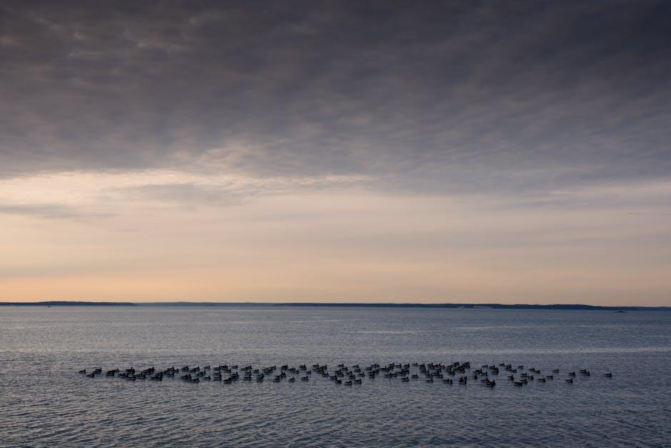 穿越波涛的起点 探寻大西洋移民的源流