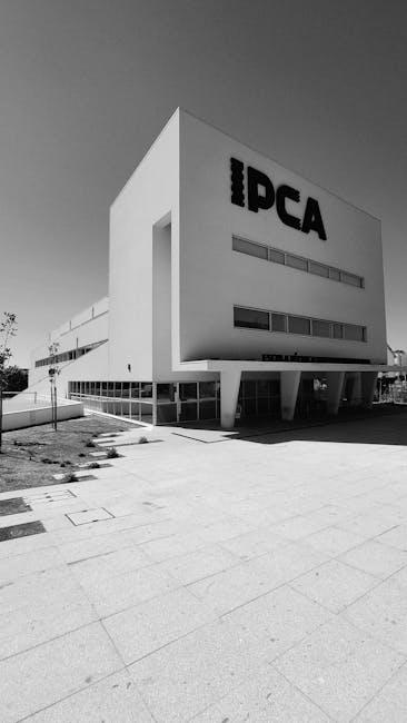 多米尼克护照解析:全球旅行的通行新钥匙 1 多米尼克护照的独特优势与全球通行能力