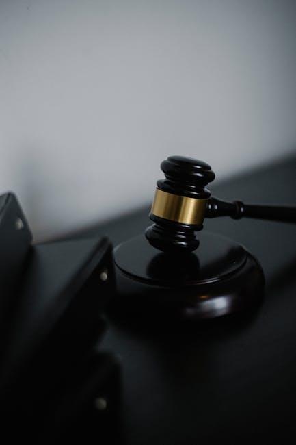 关于“国外护照”的常见误解与事实核查 2 权威机构公布的相关政策和法条解析