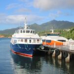多米尼克护照最新政策调整即时生效，申请条件及流程更新公布