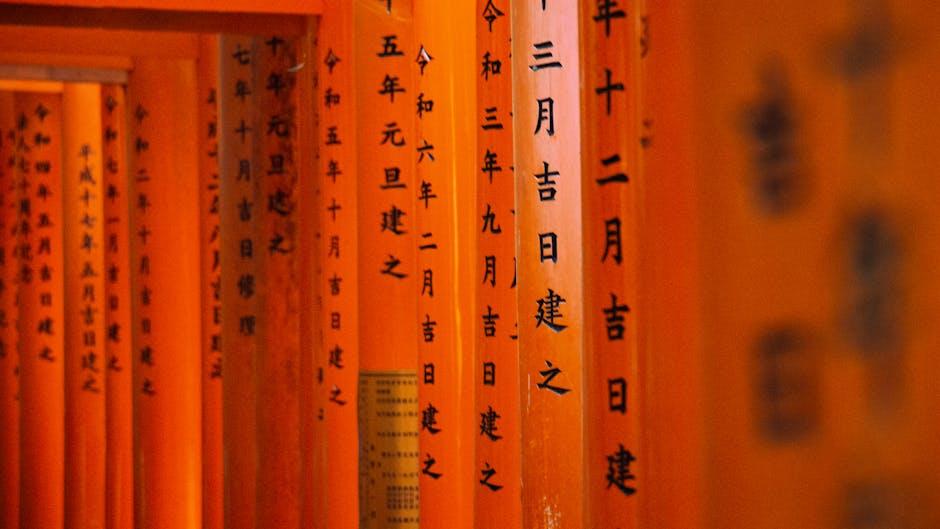低成本移民速览:起源、背景与当下意义一文读懂 1 84334