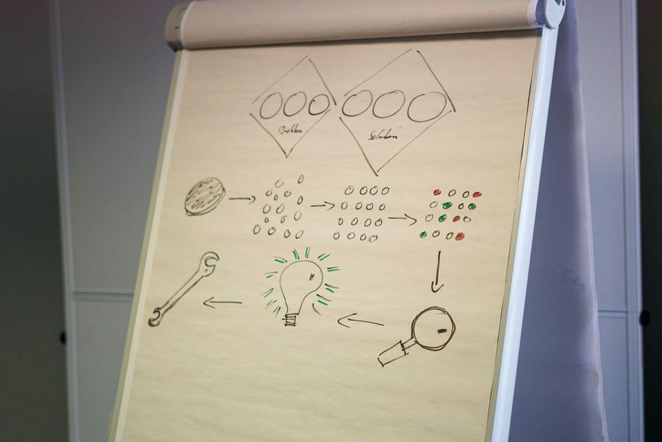 核心理念与关键环节详解