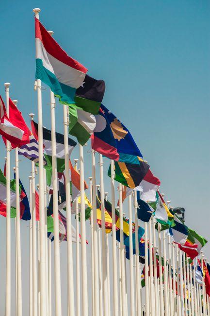 多重国籍持有人迎来新报备义务及时间节点