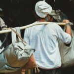 岛国移民趋势解析：动因、现状与未来展望