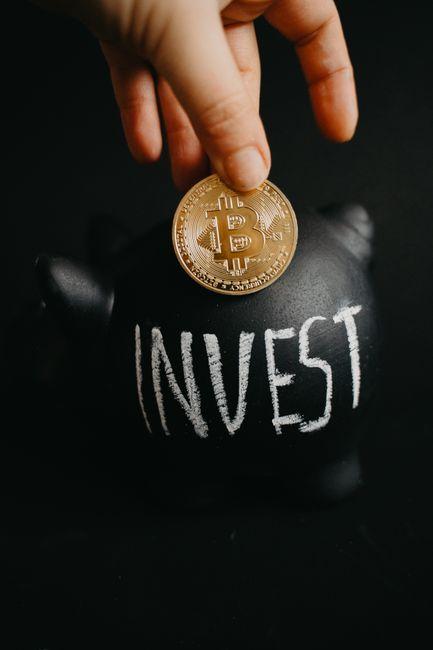 资金投入要求与项目选择全方位解析