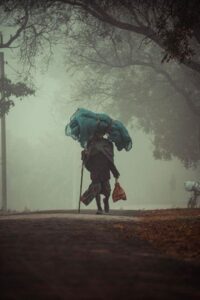 移民DIY全解析：起源、核心要点与当下意义快速导读
