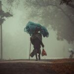 移民DIY全解析：起源、背景与为什么现在更重要