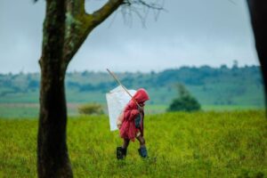 移民DIY全解析：起源背景、核心步骤与现实意义一览