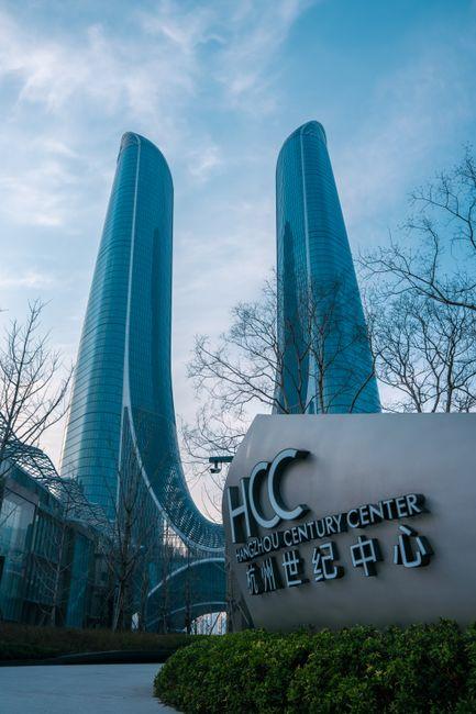 核心概念解析与移民类型的关键区分