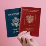 关于“海外申请护照在线预约App”功能真实性的核查与解读
