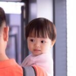 移民流程全解析：起源背景、核心步骤与当下重要性快速导览
