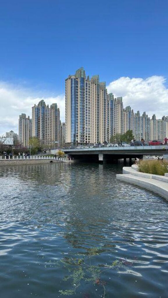 岛国移民现状解析：动因、挑战与未来趋势