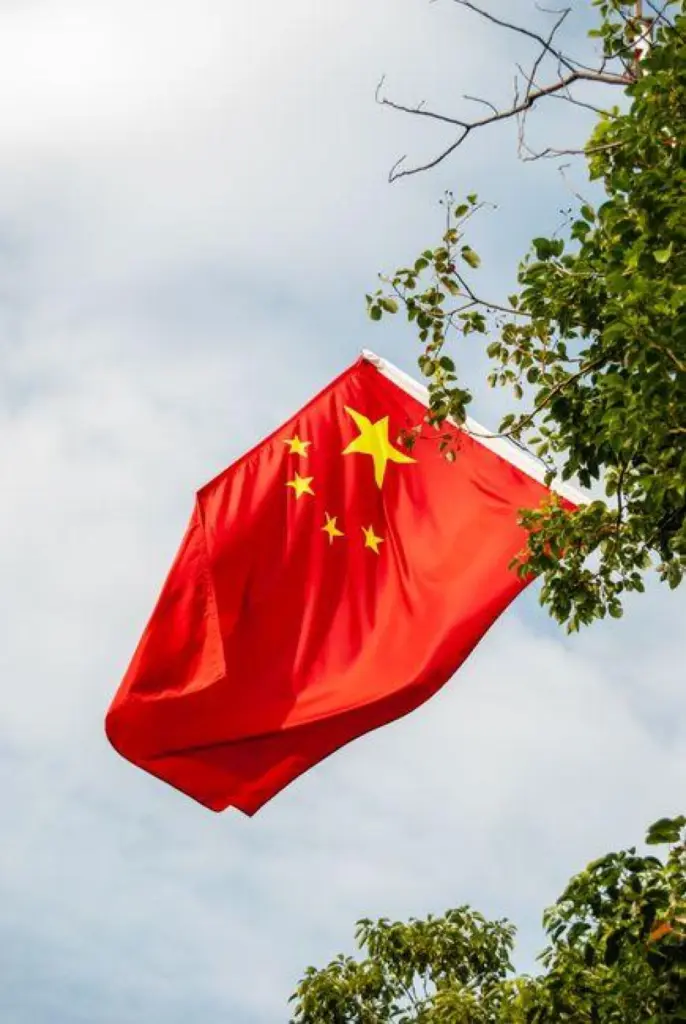 突发｜中国明确第二国籍政策最新规定，相关措施即将实施