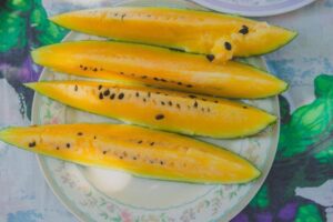 安提瓜和巴布达护照申请新政策即刻生效，申请流程调整公告