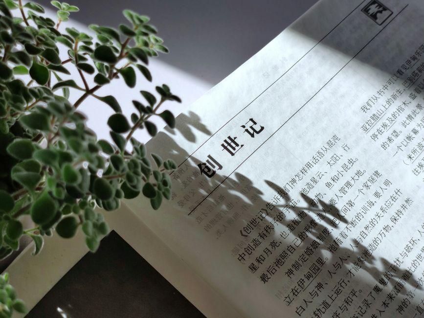 突发:多地查获涉嫌“买护照”违法行为,相关调查正在进行 1 突发多地查获涉嫌买护照违法行为
