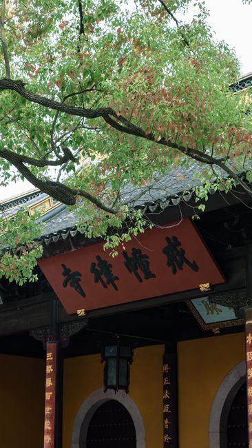短期震荡与长期变革背后的潜在趋势